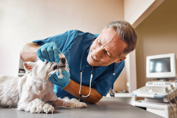 Best Emergency Wisdom Teeth Removal in South Daytona, FL